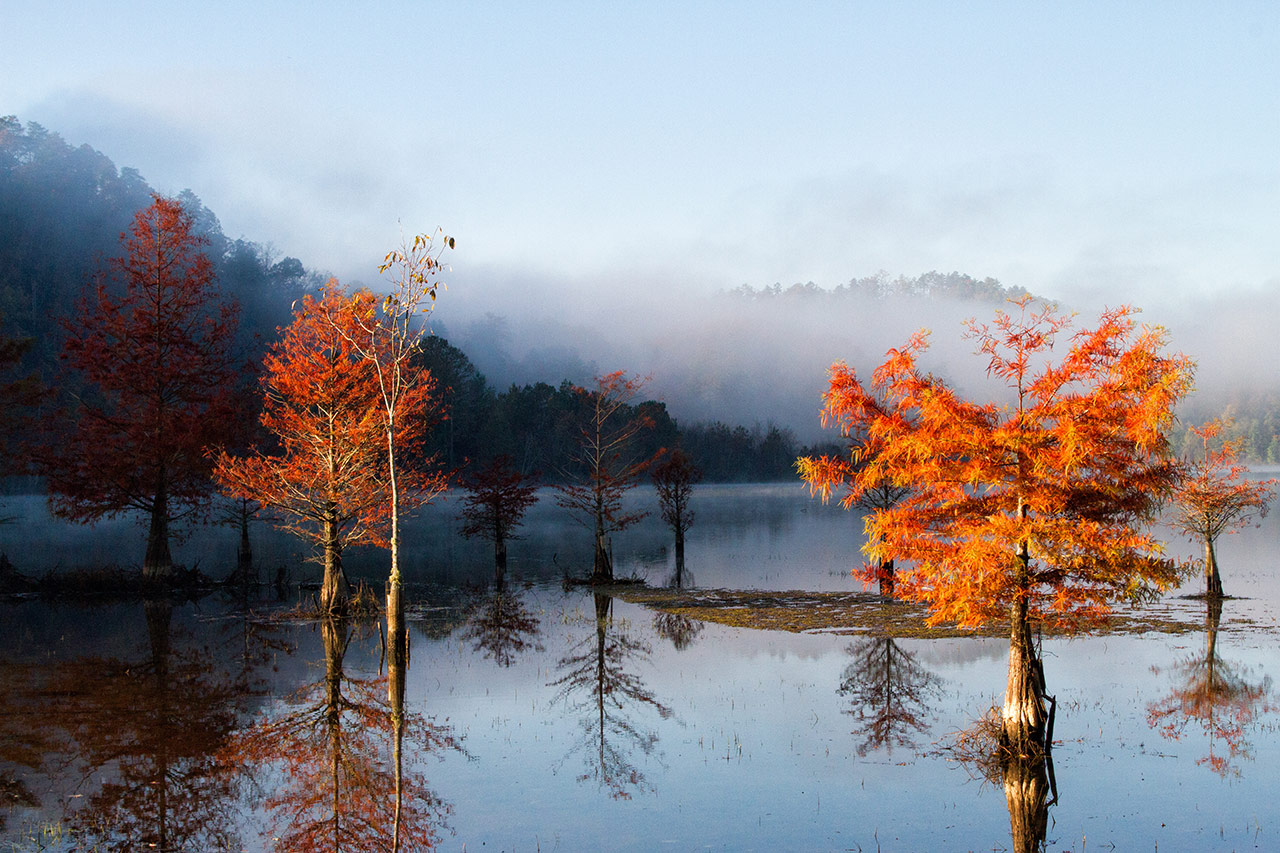 Appalachia Ocoee River in Autumn