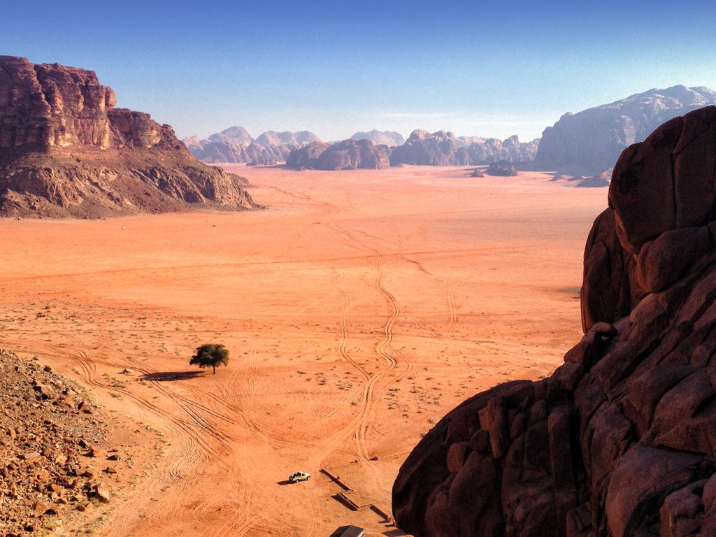 A lone tree in vast desert landscape of Wadi Rum in Jordan