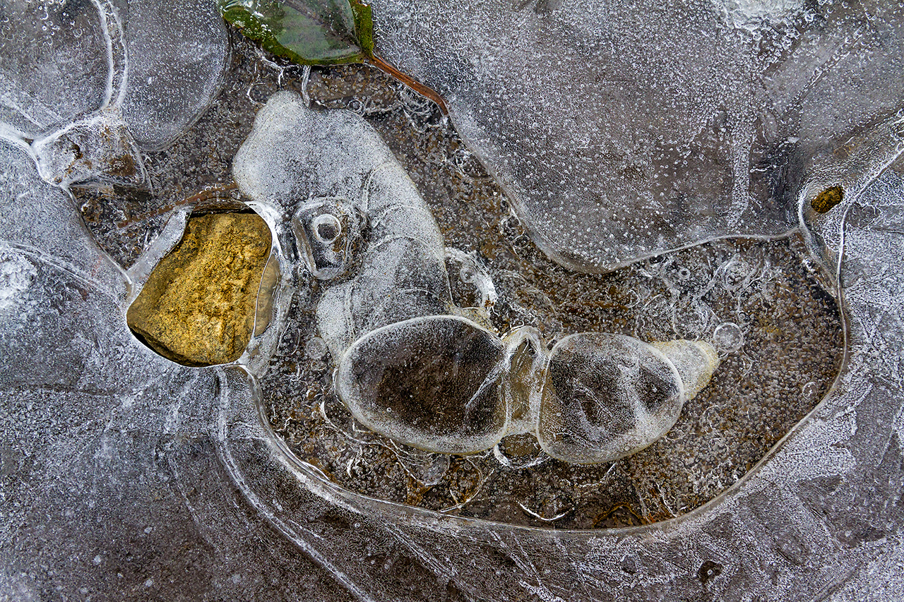 beautiful patterns and textures in a frozen puddle