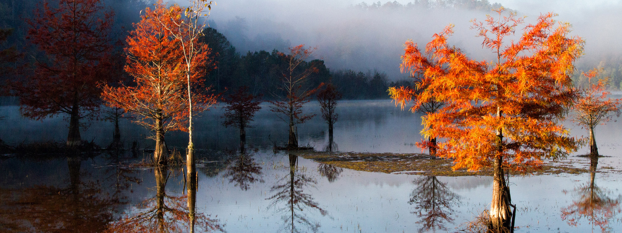 OCOEE_DAWN_SLIDER_01_2000x750